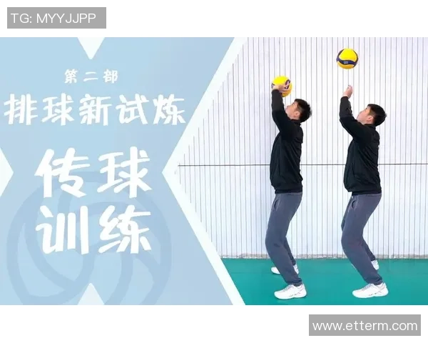 杭州排球队状态揭秘：排球巨献背后的训练与坚持