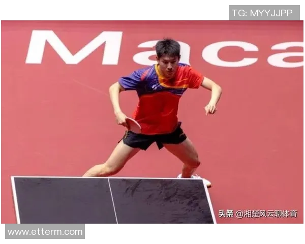 乒乓球专题：聚焦武汉乒乓球队的团队协作