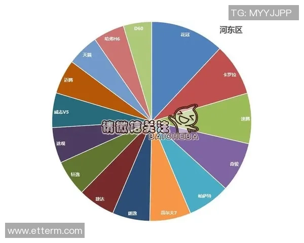 独家分析：上海攀岩队的节奏对比